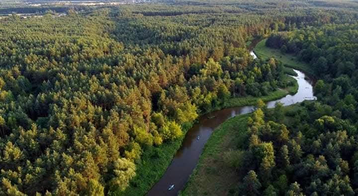 Radomka wijąca się pomiędzy lasami, zdjęcie z lotu ptaka